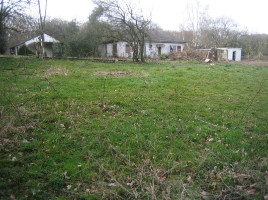 2008-03-02 Pferdekoppel 006.jpg