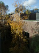 2008_1108Archäolog0048.JPG